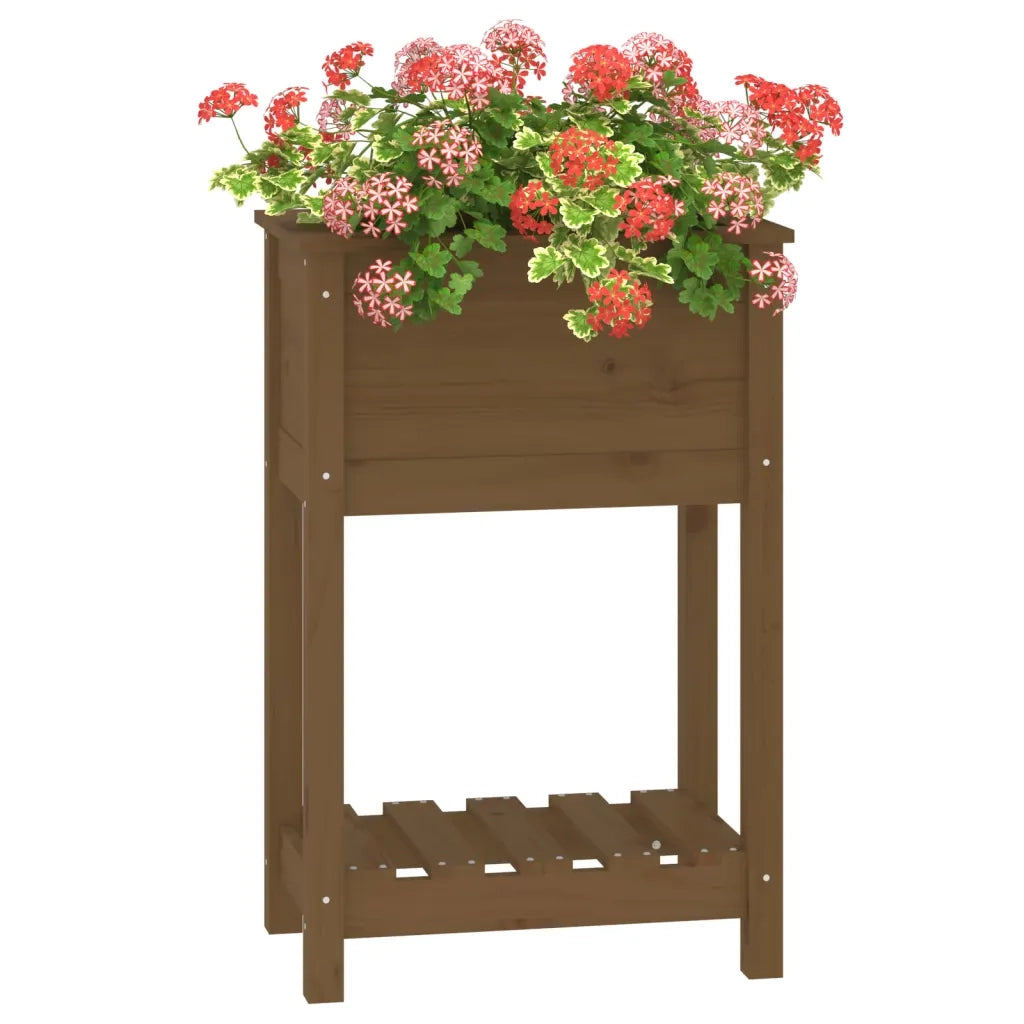 Fioriera con Mensola Ambra 54x34,5x81cm Legno Massello di Pino 823755