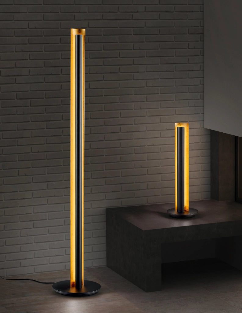 Piantana da Interno a LED in Metallo Nero