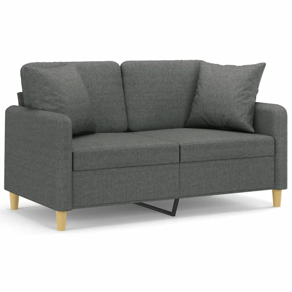 Divano a 2 Posti con Cuscini-Sofa 2 Posti con Cuscini Grigio Scuro 120 cm in Tessuto 859614