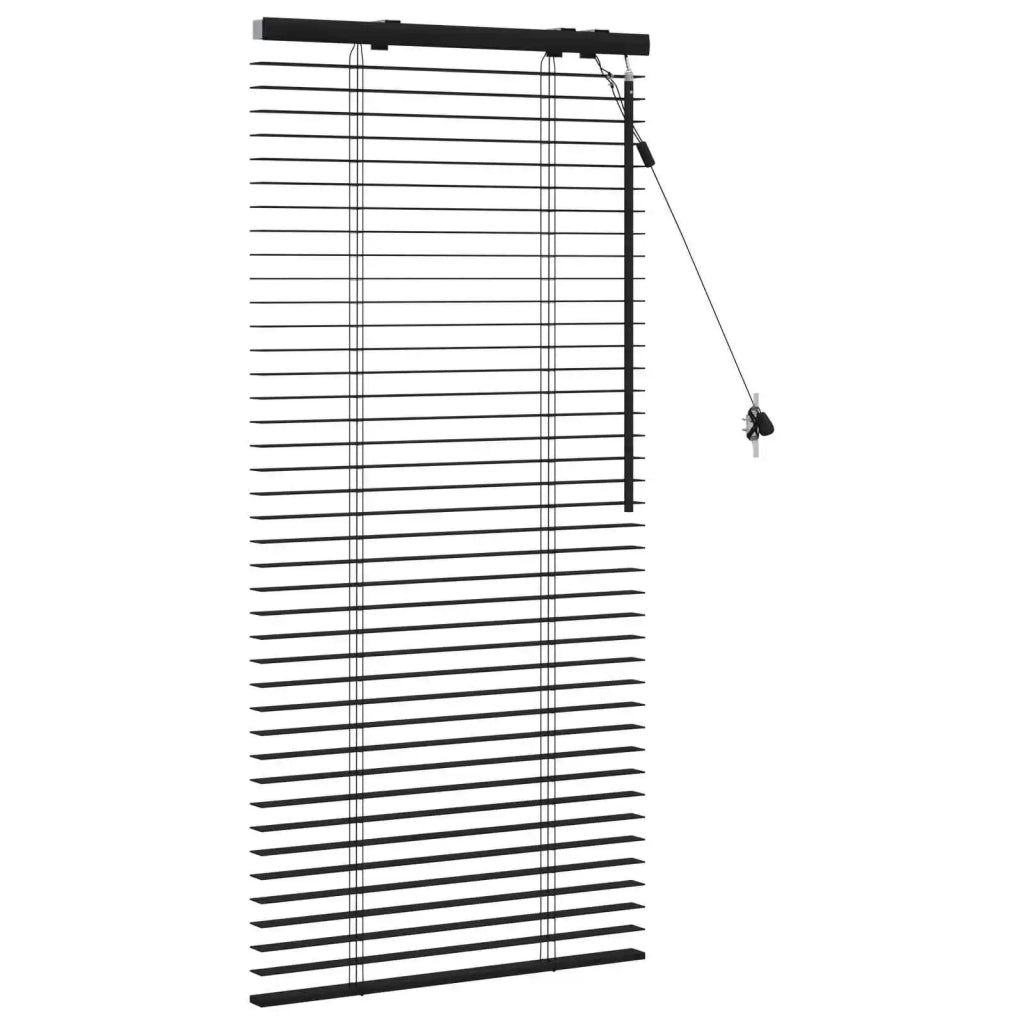 Tenda Veneziana Nero 65 x 130 cm 35 mm 42015459