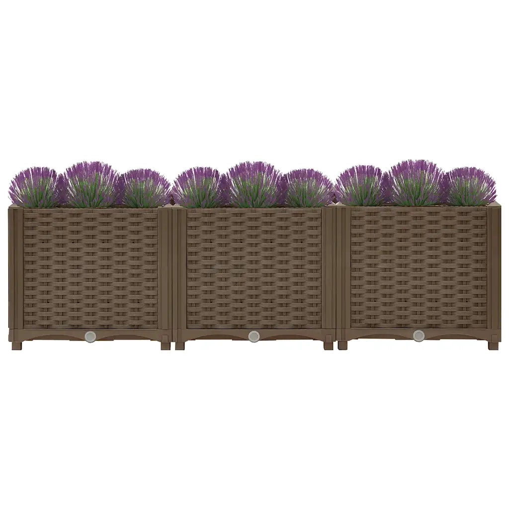 Fioriere | Cassetta per fiori | Letto rialzato 120x40x38 cm in polipropilene