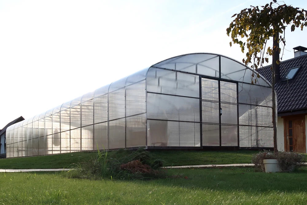 Serra da giardino HERCULES 5.5 x 12 m (66 m²), 10 mm con rivestimento in policarbonato