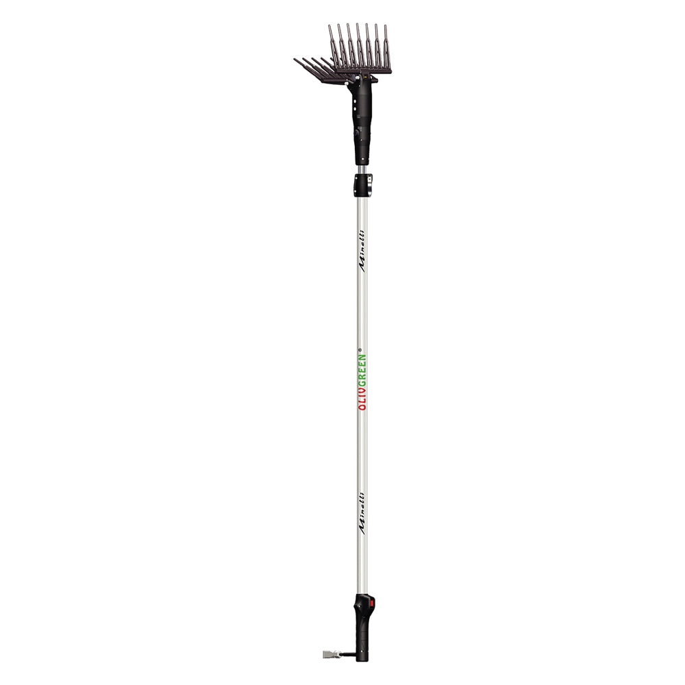 1pz abbacchiatore elettrico 'olivgreen a3' motore 12v cod:ferx.6090700nlm