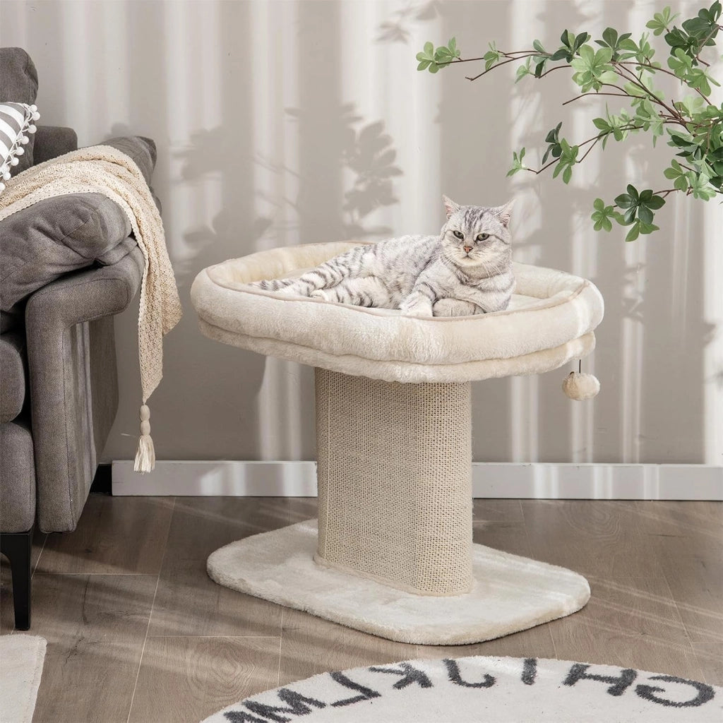Tiragraffi piccolo, altezza 50 cm, tiragraffi per gatti con seduta in peluche e colonna in sisal e palla, albero da arrampicata in legno stabile, per gatti