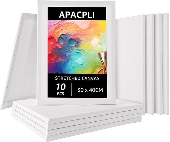 Tela da Pittura 30 x 40 cm - 10 pezzi - Impronta a Tela - Spessore Katoen - Tela da Pittura Professionale - Acqua e Umidità Resistenti - Duratura Elevata