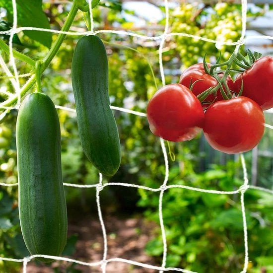 Rete di supporto per piante 10 x 1,67 m - aiuto alla crescita - rete per orto - rete di sostegno - rete in poliestere duraturo - resistente all'usura - rete per orto