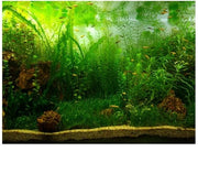 Decorazione per acquario in PVC - Stile acqua graminacea - Autoadesivo - 76 x 30 cm - Materiale di alta qualità