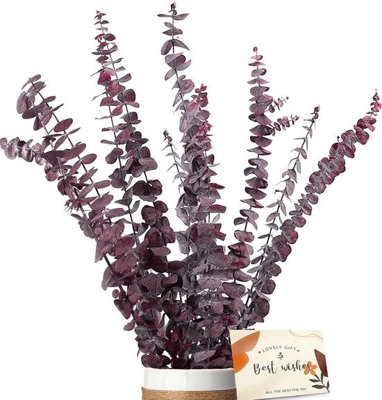 Eucalipto essiccato - set di 11 fiori secchi naturali, comprendente biglietti da auguri, eucalipto, fiori secchi durevoli, decorazione per il matrimonio perfetto, composizioni floreali arredamento domestico