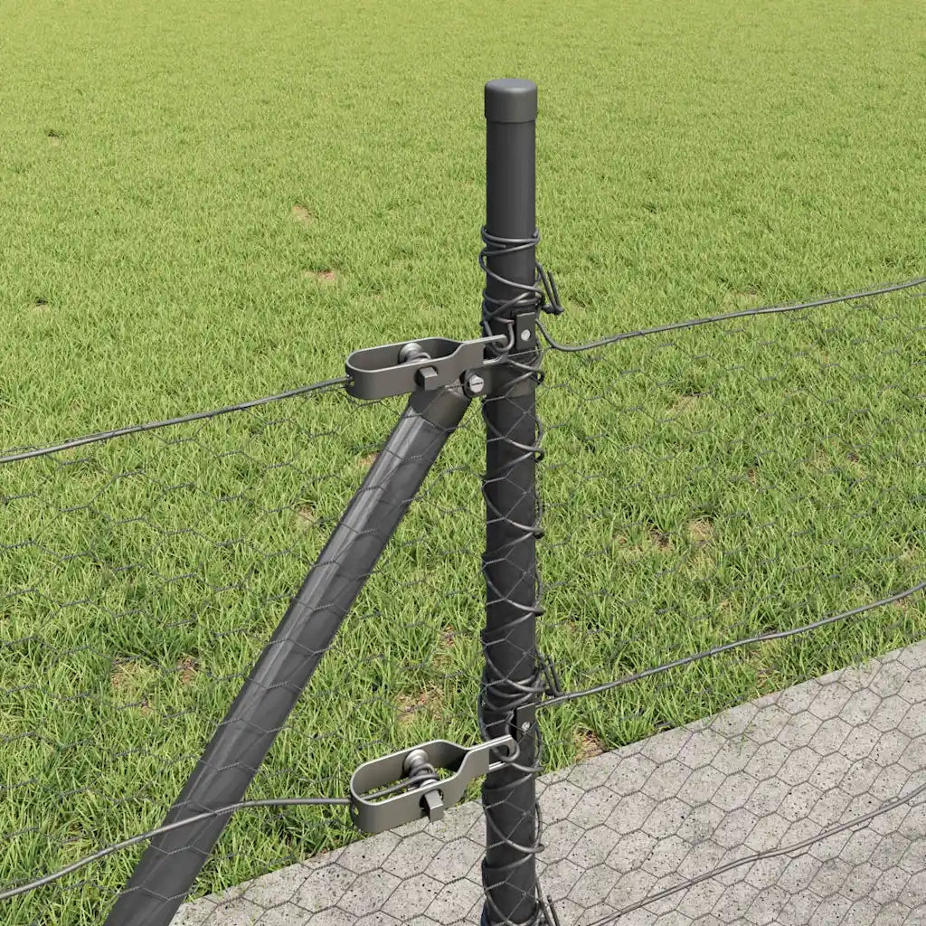 Palo della recinzione Grigio 50 x 0,5 m (25 mm rete)