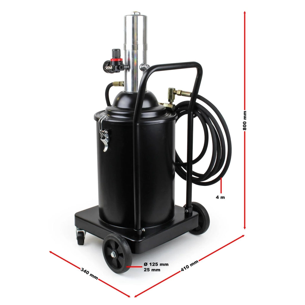 Pistola per grasso pneumatica professionale mobile 15 litri aria compressa 16_0002798