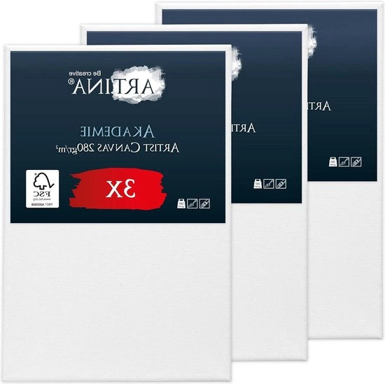 Tela da Pittura 40x60 cm Set Accademico - 100% Cotone - Tela da Pittura Acida - Tela da Pittura Grande Certificata FSC