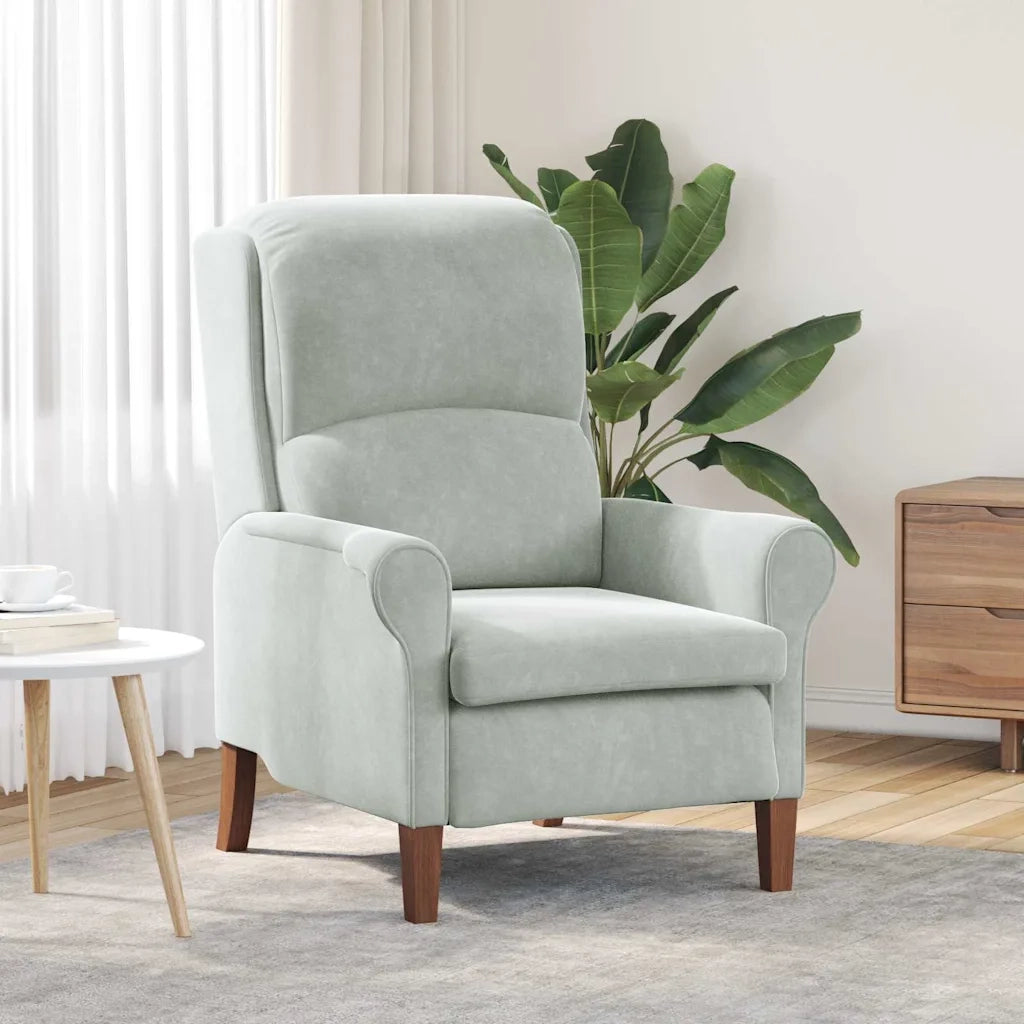 Poltrona-Divano Sedia-Poltroncina Grigio chiaro Velluto 266295