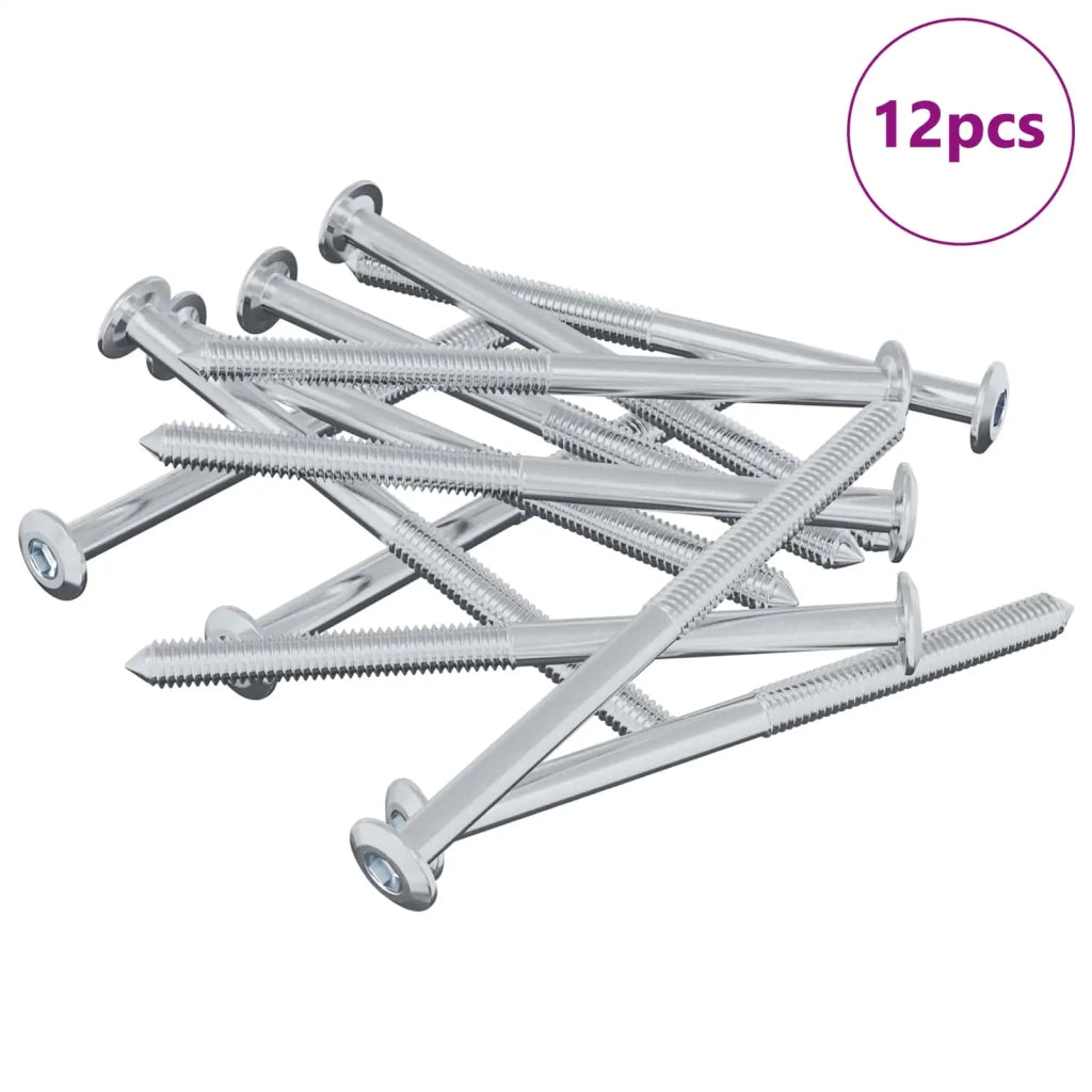 Vite 12 pz Argento M6 x 85 mm Acciaio CFW4560807