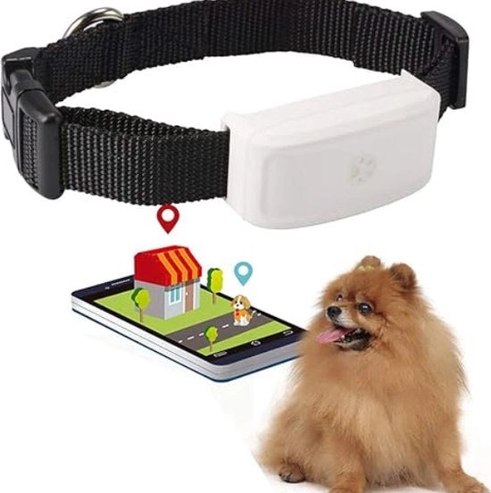 Traccia e Proteggi il Tuo Animale in Quasi Qualsiasi Luogo: Mini Localizzatore GPS per Cani e Gatti con Tracciamento in Tempo Reale, Progetto Idrorepellente, Storia della Tratta e App Gratuita per la Monitoraggio Facile.