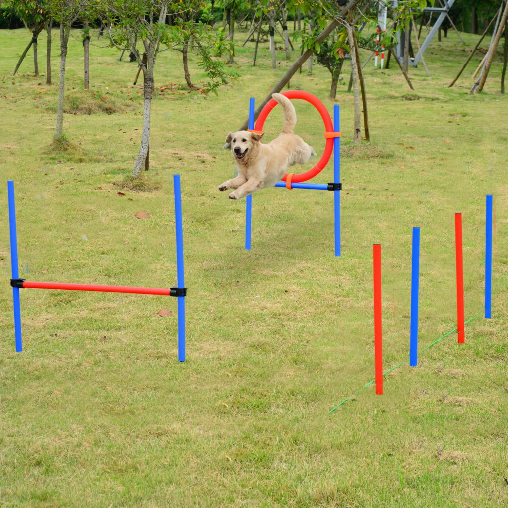 Set Agility per Cani ¨C Xylo ¨C 11 Pezzi con Ostacoli e Borsa Trasporto Acciaio Rosso Blu