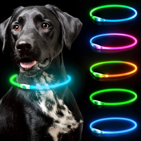 Cani luce – Collare per cani con luce – Lampada per cani – Cani uscita – Lampada per cani
