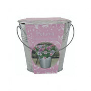 Kit Coltivazione Fiori di Petunia, con vaso in metallo, terriccio e semi