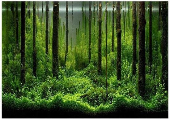 Sticker per acquario - Adesivo PVC - Bottiglia per acquario - Decorazione cartacea - 61 x 41 cm .