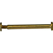 VITE A CANNOCCHIALE 40 mm - 50 pezzi