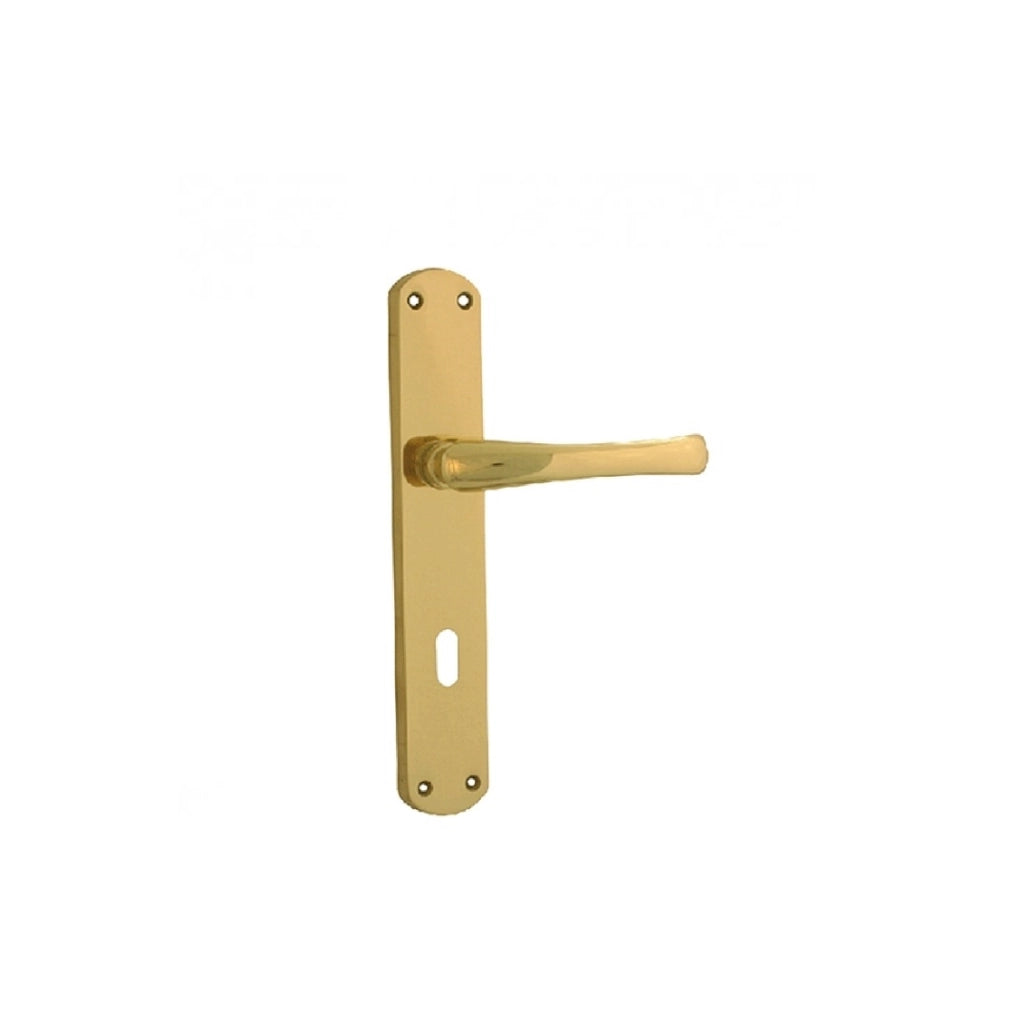 Maniglia CAPRI FORME con placca in ottone e finitura lucida, foro Q8 PATENT Q 8 X 70 