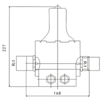 Pressostato SKD-1 230V monofase 10 bar unità di controllo pompa funzionamento a secco, per autoclave