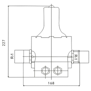 Pressostato SKD-1 230V monofase 10 bar unità di controllo pompa funzionamento a secco, per autoclave