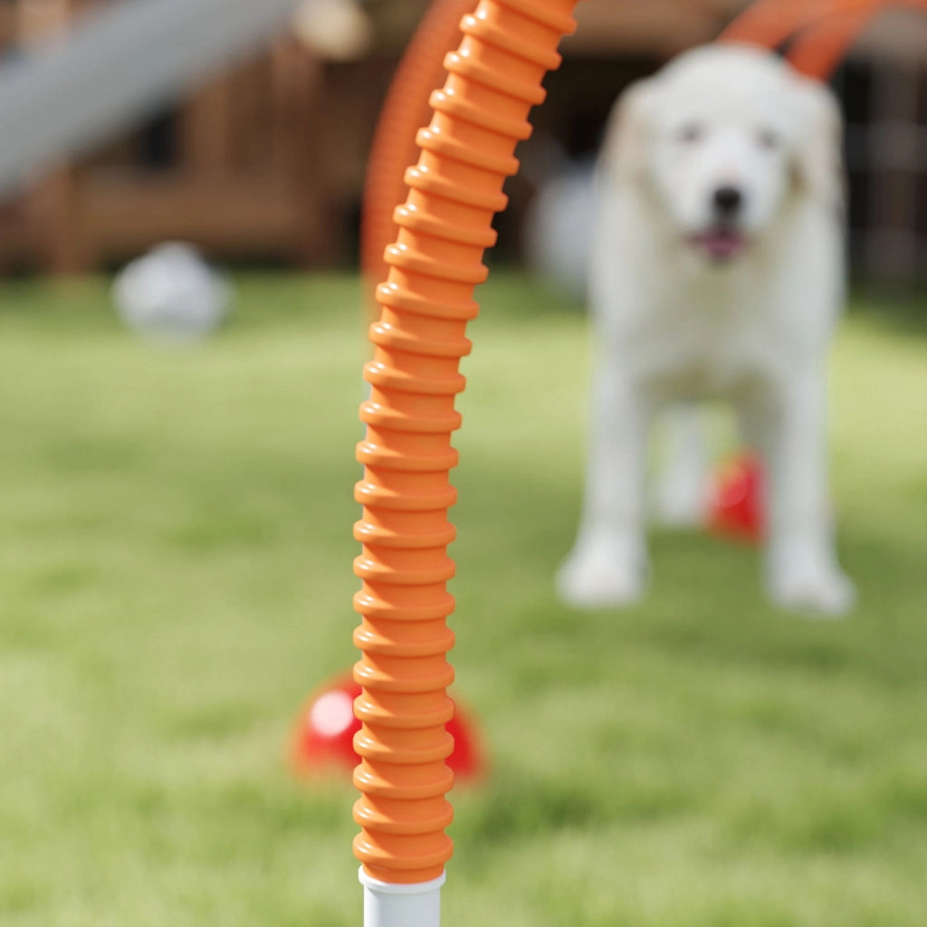 Attrezzo Agility per Cani 4 Porte ¨C Xylo ¨C Larghezza Regolabile con Borsa Trasporto Blu