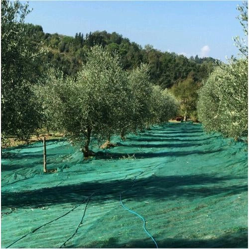 Telo Antispina Rete per raccolta Olive PESANTE in ROTOLO h: 10x50 MT - 90 gr/mq colore Verde