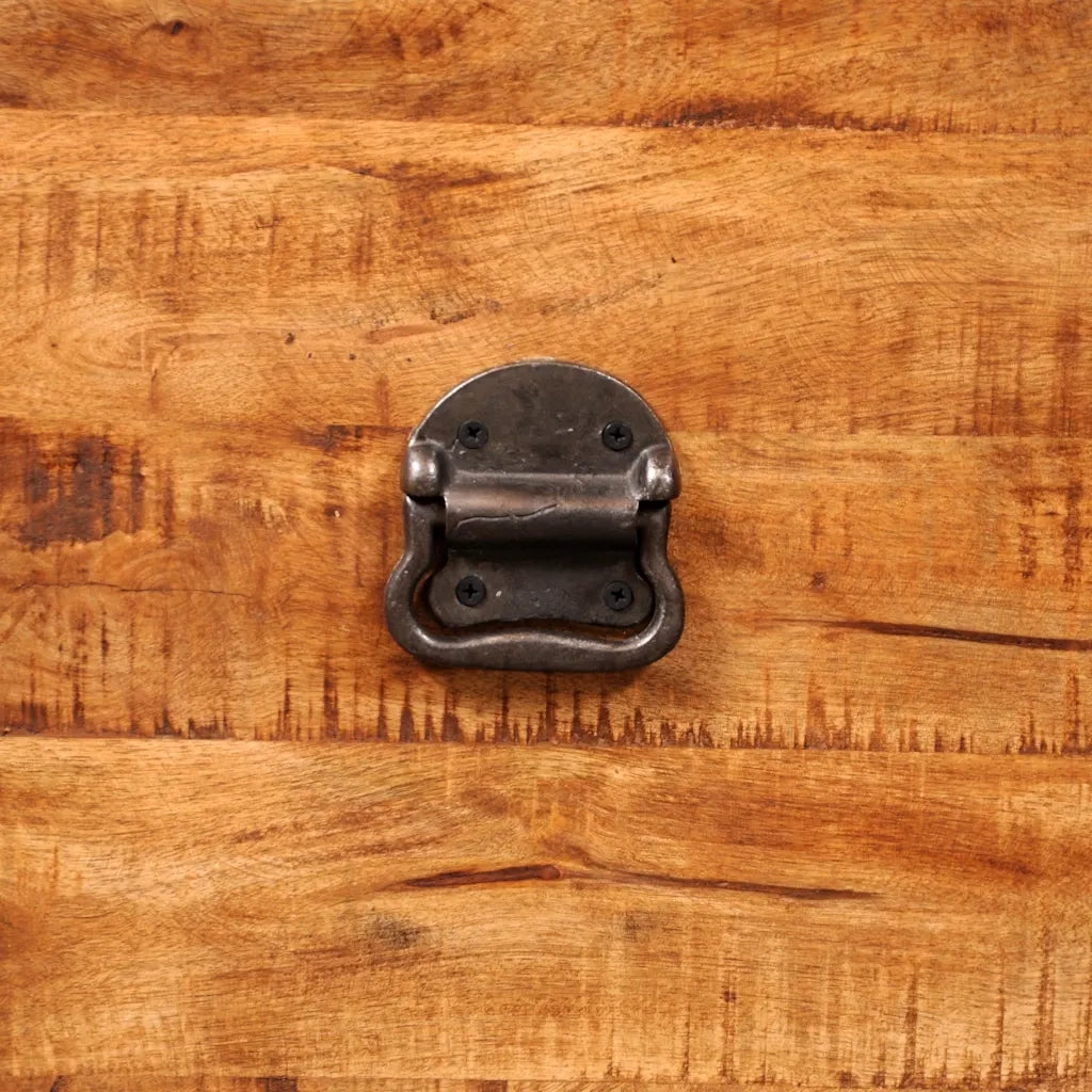 Cassapanca di Stoccaggio-Baule-Cassa a Cubo in Legno Ruvido di Mango