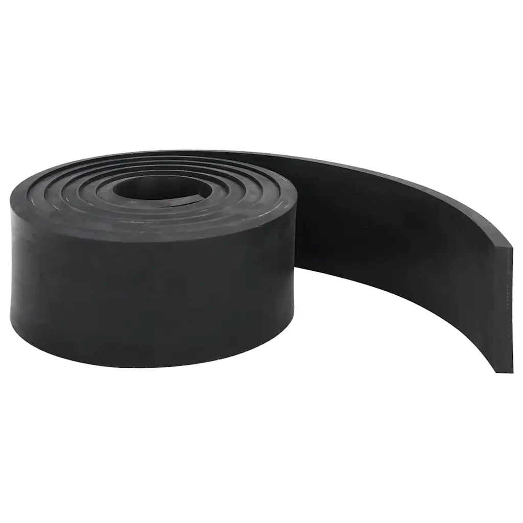 Bordo in Gomma per Spazzaneve Nero 250x8x1 cm