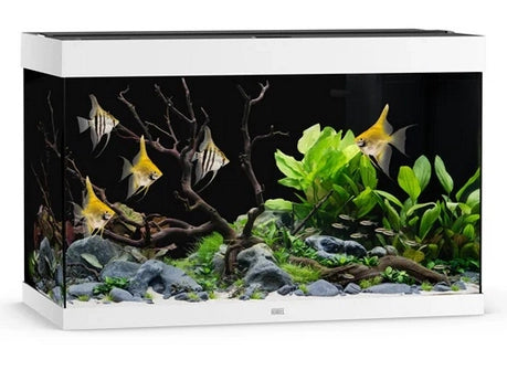 Juwel Rio 290 LED cm101x51x66h Senza Supporto Colore: Bianco
