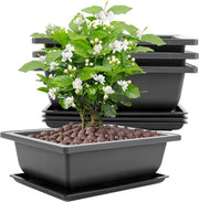 Set di 8 Bacinelle in Plastica per Bonsai con Piatti, Dimensioni 23 x 17 x 8 cm, Adatte per Giardini, Cortili, Uffici, Soggiorno, Balconi (Nero)