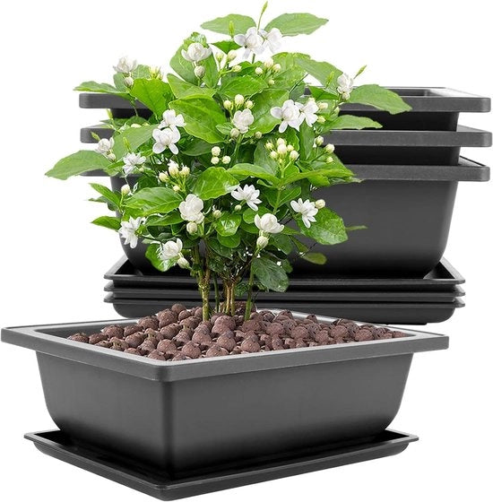 Set di 8 Bacinelle in Plastica per Bonsai con Piatti, Dimensioni 23 x 17 x 8 cm, Adatte per Giardini, Cortili, Uffici, Soggiorno, Balconi (Nero)