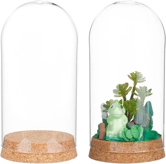 Display per fiori e piante in vetro con viti a vite 80x160 mm