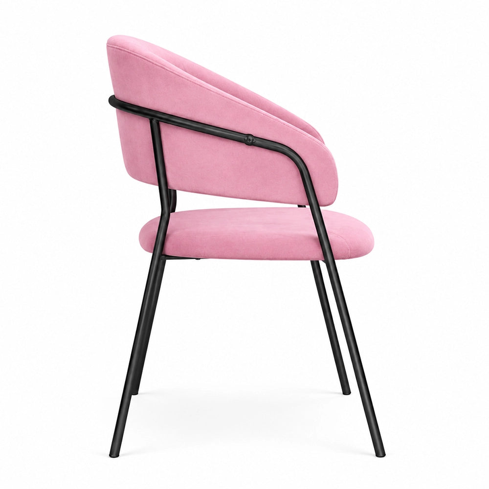 Sedie da sala da pranzo set da 2 Aurelia in velluto rosa con gambe nere