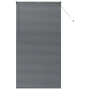 Tendaggi a Veneziana | Tenda a lamelle Grigio scuro 220 x 110 cm Alluminio