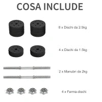 Set Manubri Palestra 30kg (8x2.5 kg, 4x1.5 kg), Pesi Palestra con 12 Dischi e 2 Manubri da 2 kg per Allenamento a Casa, Nero