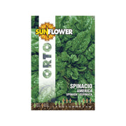 Sementi Spinacio America Sunflower