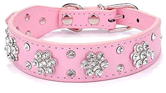 Collare per Cani con Fiori - Dimensioni Adattabili - Foderato in Pelle - Diamanti in Oro - Collare per Cane - 5 Orecchini Adattabili - Collare per Cane con Cerniera
