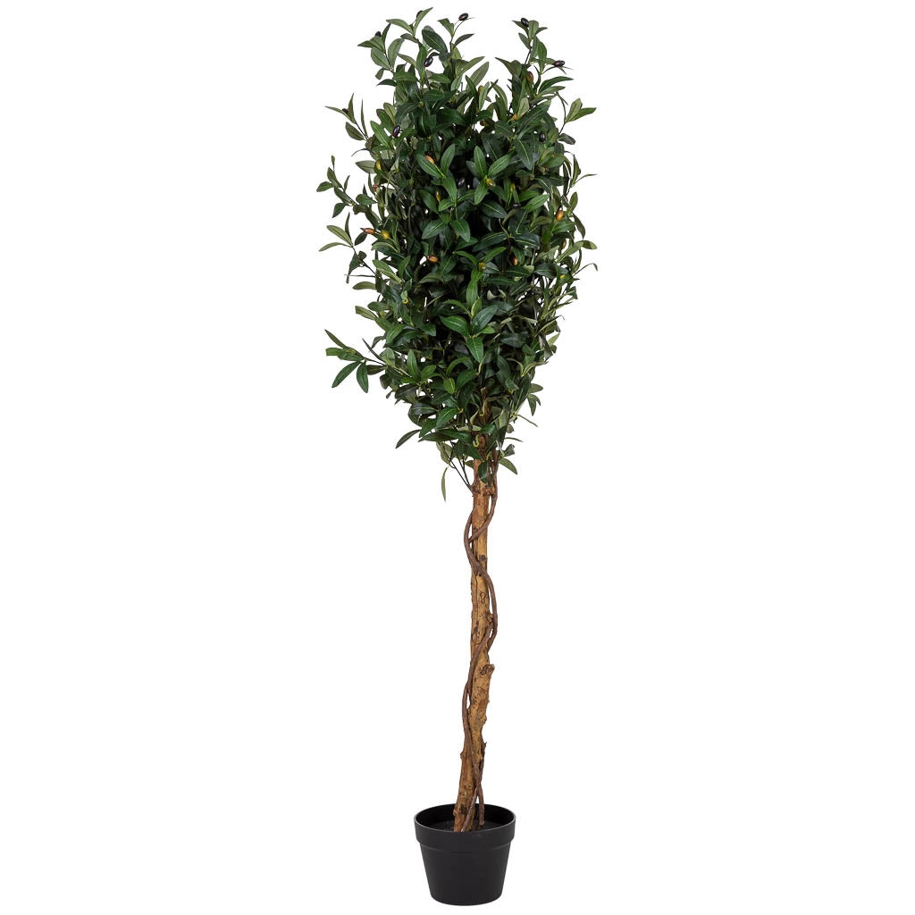 Olivo artificiale decorativo verde 1836 foglie verde 60x60x150