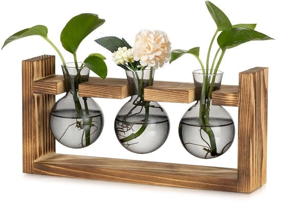 Stazione di Propagazione in Vetro - Vaso Decorativo - Grigio - Idrocoltura - Moderno - Adatto per Interni - Decorazione da Tavolo