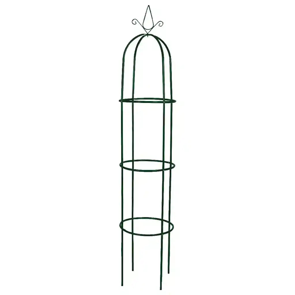 Set Torri ad Arco 2 pz per Piante Rampicanti da Giardino 40779