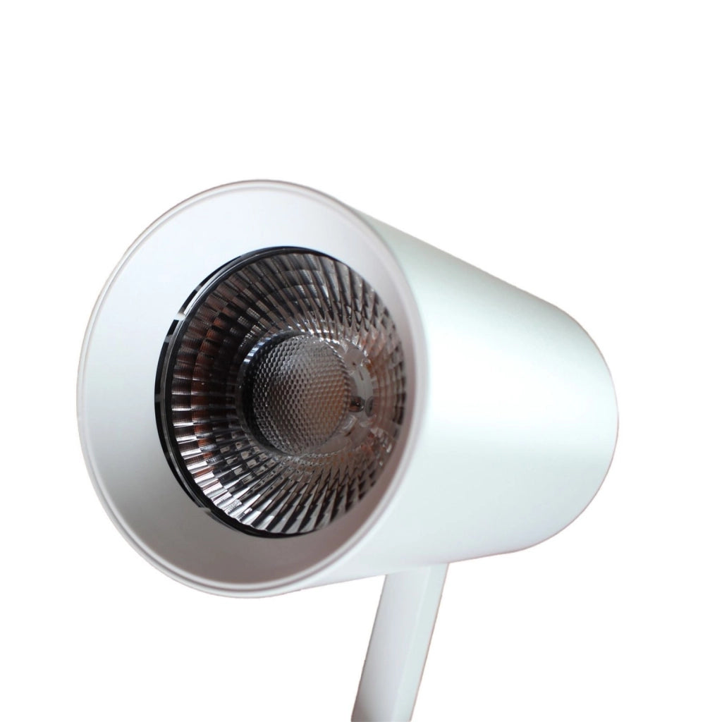 2 Pezzi Faro Bianco Mono Fase 30W 4000K