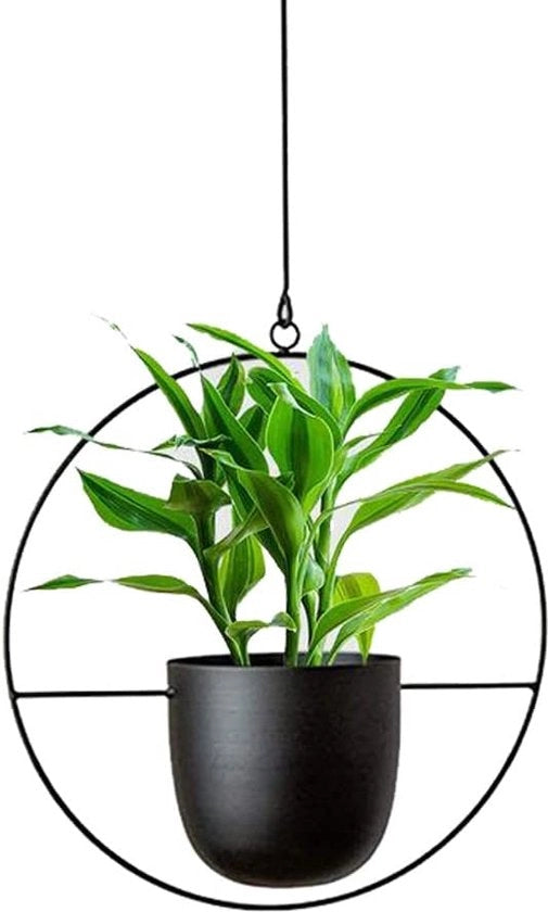 Piantiera metallica appesa, supporto per piante appeso, vaso per piante, vasi per fiori, decorazione interna/esterna per balcone o soffitto, con catena di sospensione, nero
