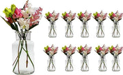 Set di 10 vasi in vetro da 300 ml alte 13,6 cm vasi in vetro decorativi flessi in vetro
