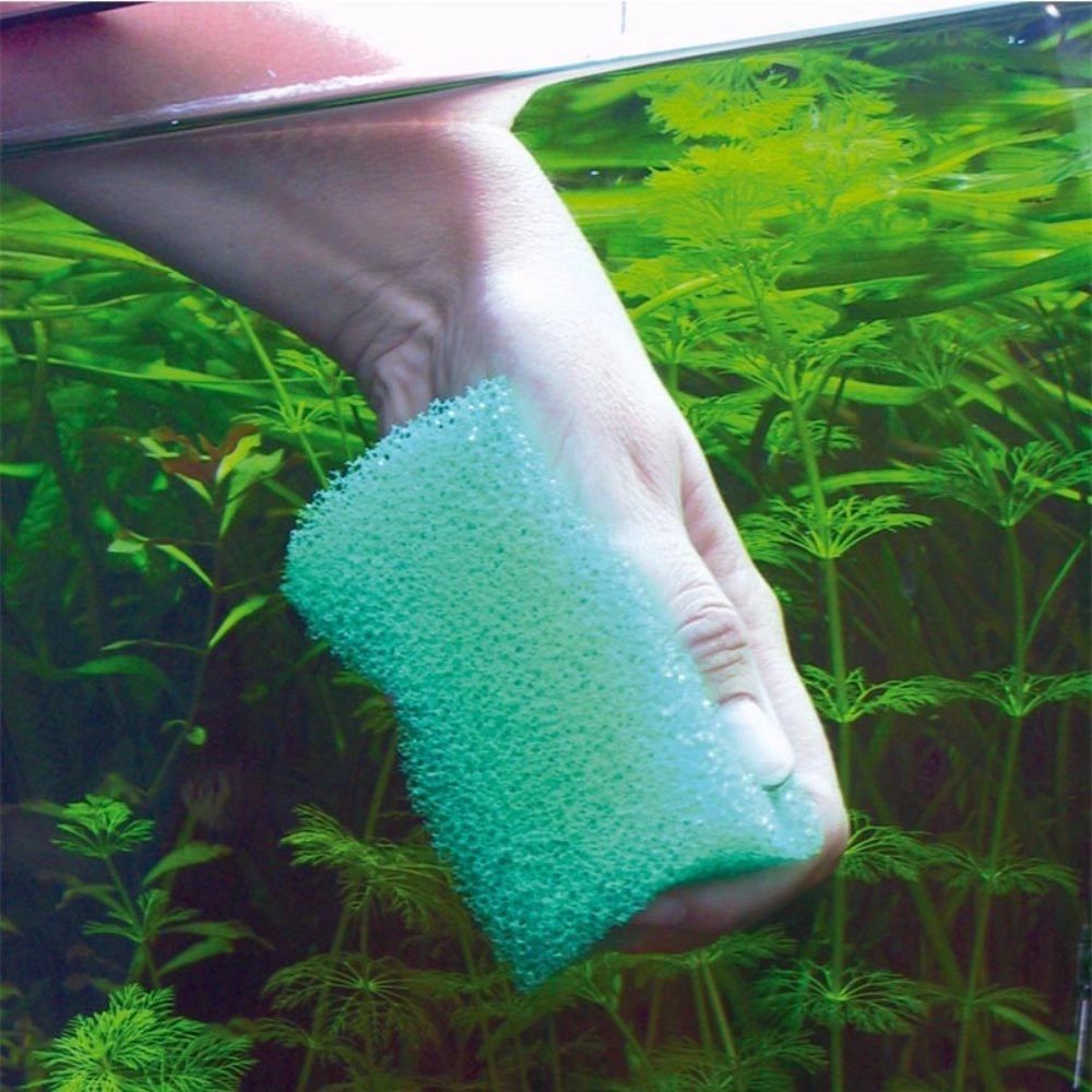 JBL Spongi - Spugna per la Rimozione di Alghe e Sporcizia dai Vetri dell'acquario