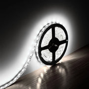 Trade Shop - Striscia Led Smd 5050 5mt 300 Led Wisdom 5760 Lumen 14,4w/mt 72w Ip65 - -bianco Freddo      -