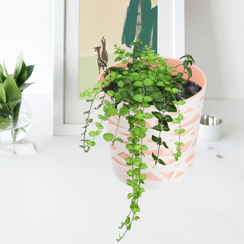 Vaso da fiori KADAX, coperchio in plastica, inserto, fiori, piante, 13 cm, color pesca