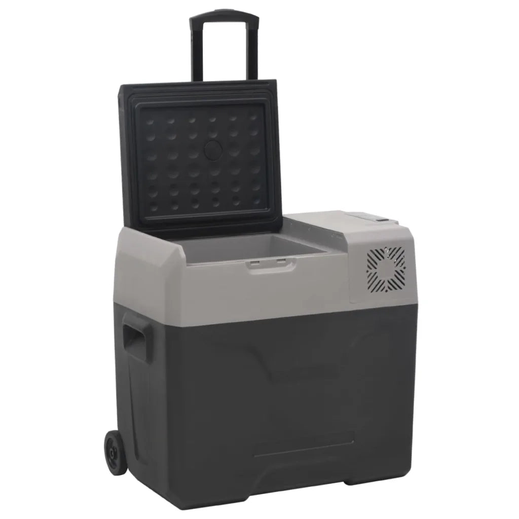 Borsa Frigo con Ruote Adattatore Nera Grigia 30 L Polipropilenecod mxl 78633