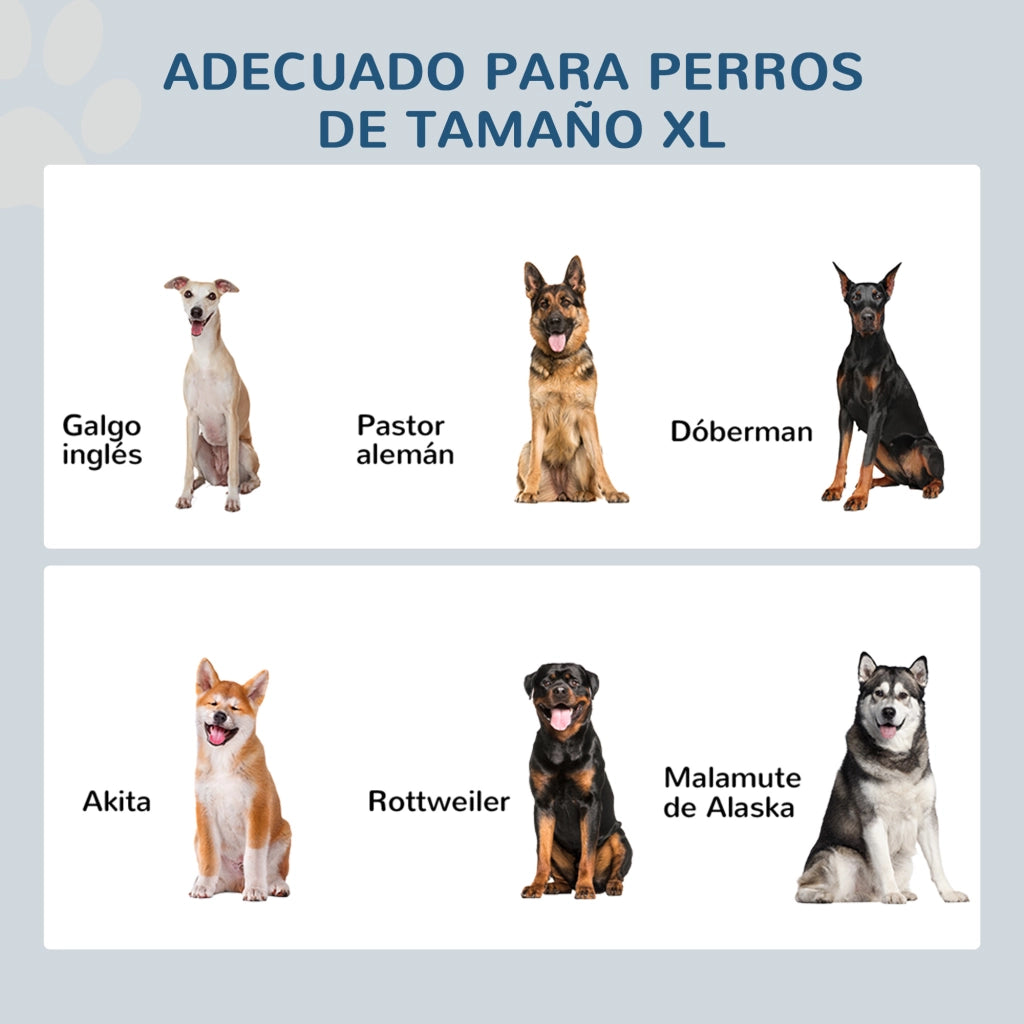 Tavolo per Cani con Ciotole e Ripiano ¨C Zephmum ¨C Bianco 60x30x41 cm